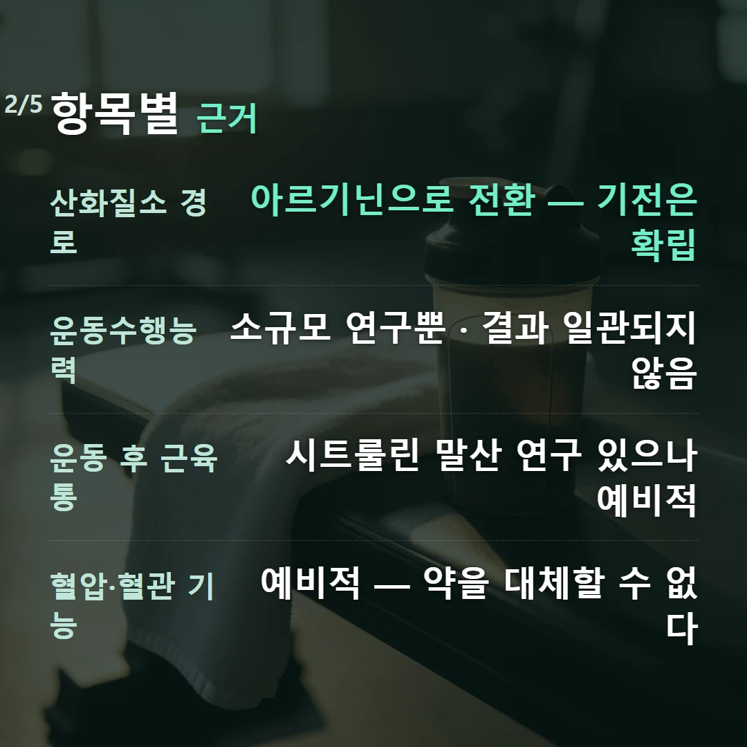 항목별 근거 — 산화질소 경로 아르기닌으로 전환 — 기전은 확립, 운동수행능력 소규모 연구뿐 · 결과 일관되지 않음, 운동 후 근육통 시트룰린 말산 연구 있으나 예비적, 혈압·혈관 기능 예비적 — 약을 대체할 수 없다