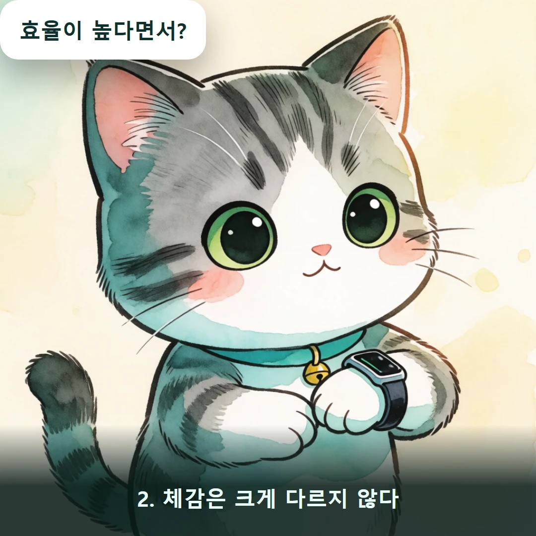 웹툰 2컷 — 2. 체감은 크게 다르지 않다 (효율이 높다면서?)