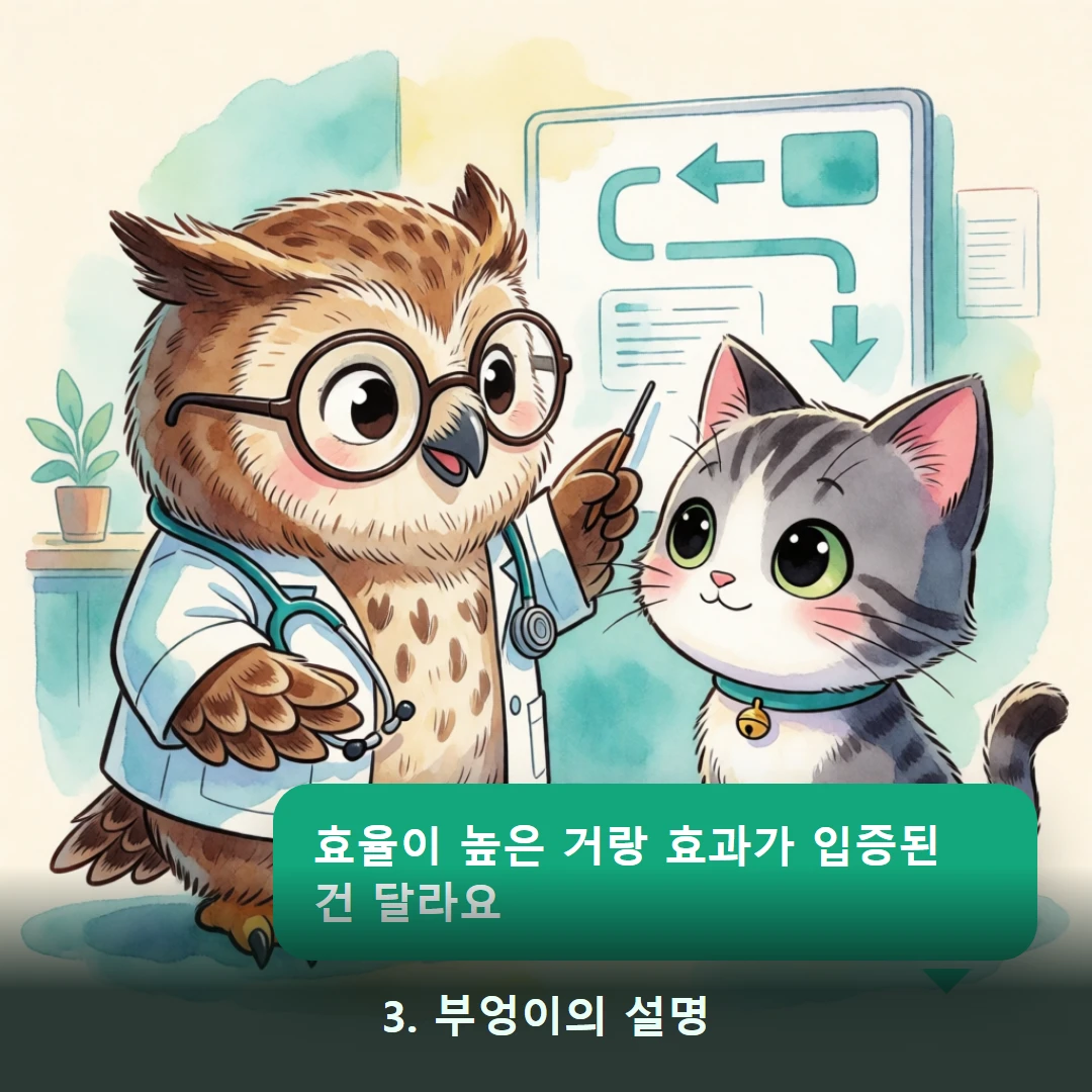 웹툰 3컷 — 3. 부엉이의 설명 (효율이 높은 거랑 효과가 입증된 건 달라요)