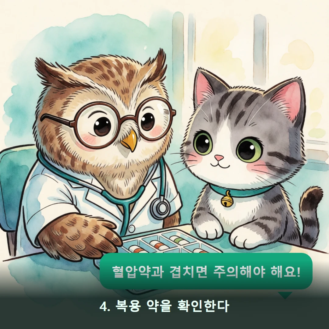 웹툰 4컷 — 4. 복용 약을 확인한다 (혈압약과 겹치면 주의해야 해요!)