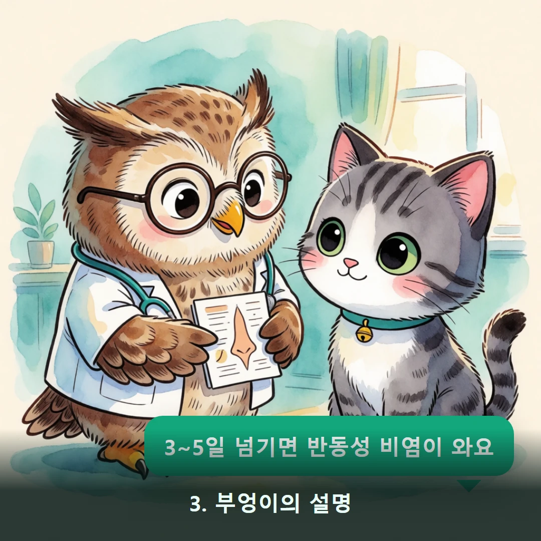웹툰 3컷 — 3. 부엉이의 설명 (3~5일 넘기면 반동성 비염이 와요)
