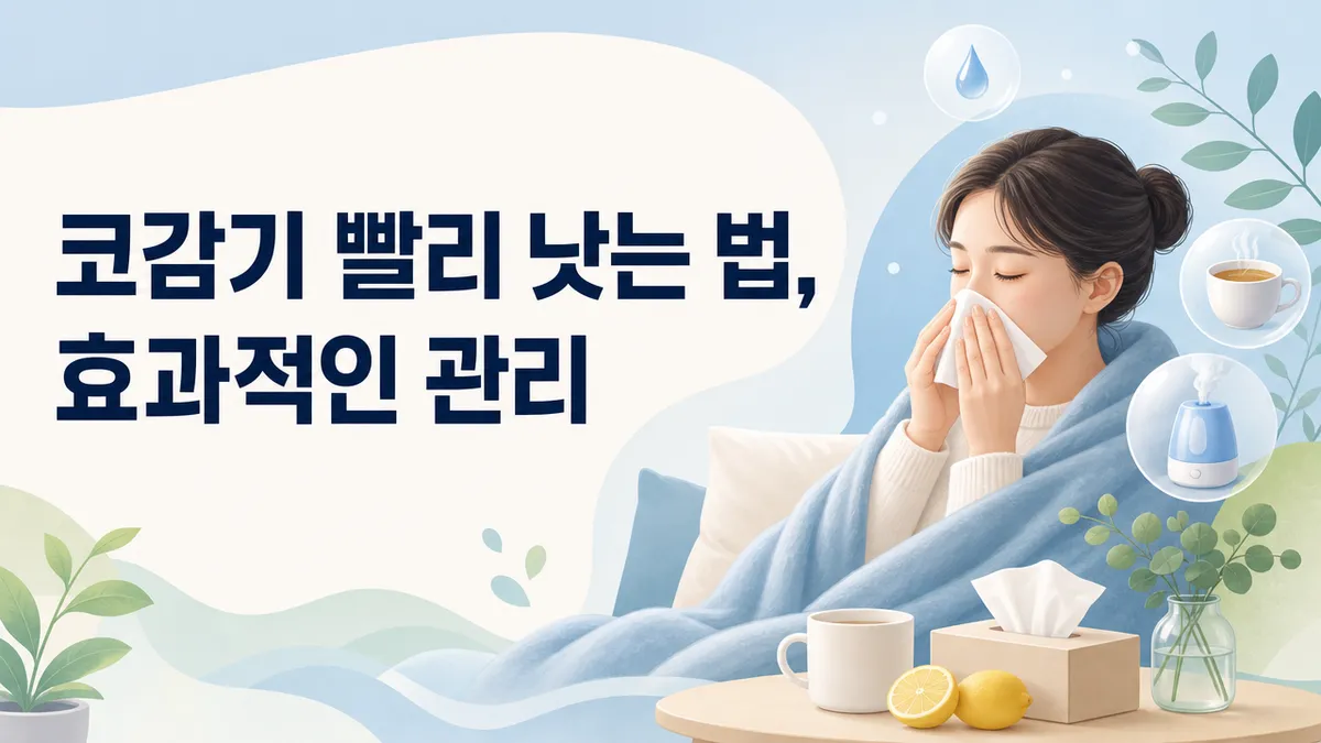 코감기 빨리 낫는 법, 회복을 돕는 관리 총정리