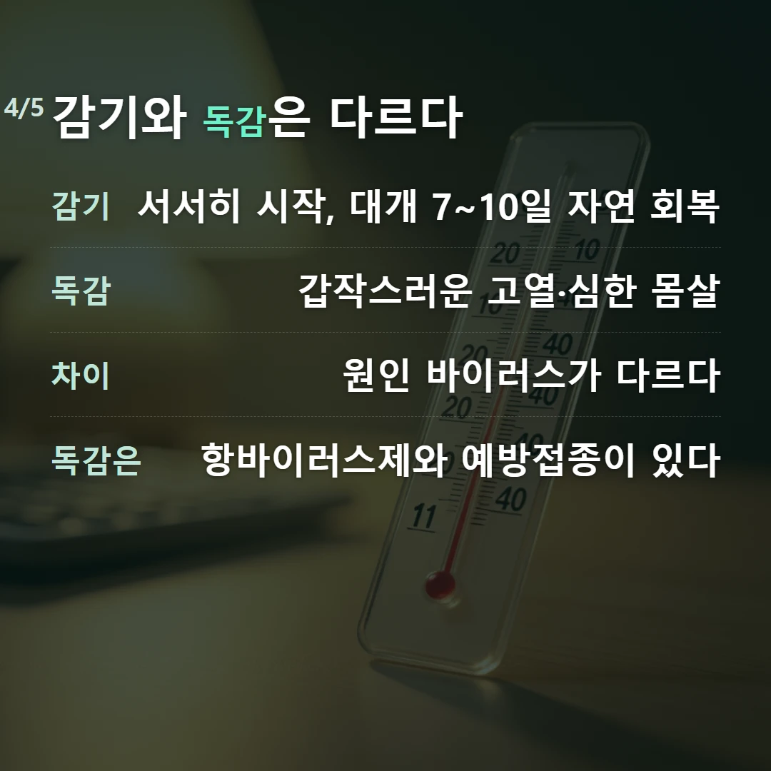 감기와 독감은 다르다 — 감기 서서히 시작, 대개 7~10일 자연 회복, 독감 갑작스러운 고열·심한 몸살, 차이 원인 바이러스가 다르다, 독감은 항바이러스제와 예방접종이 있다