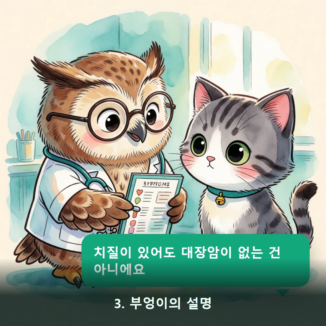 웹툰 3컷 — 3. 부엉이의 설명 (치질이 있어도 대장암이 없는 건 아니에요)