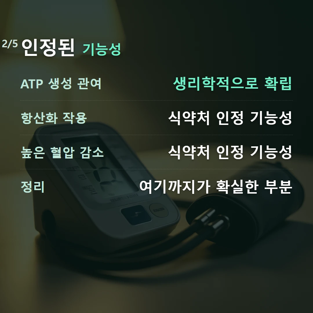 인정된 기능성 — ATP 생성 관여 생리학적으로 확립, 항산화 작용 식약처 인정 기능성, 높은 혈압 감소 식약처 인정 기능성, 정리 여기까지가 확실한 부분