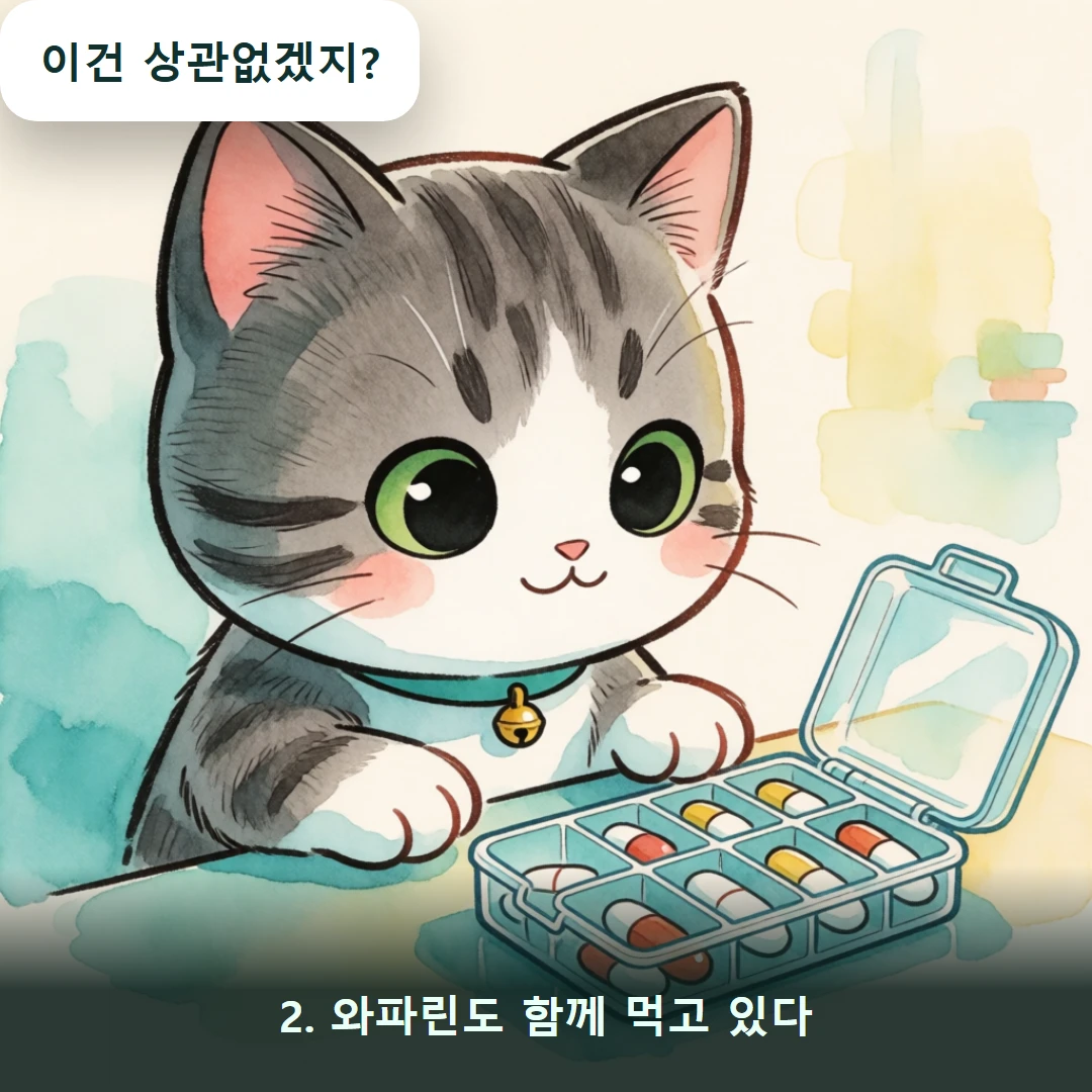 웹툰 2컷 — 2. 와파린도 함께 먹고 있다 (이건 상관없겠지?)