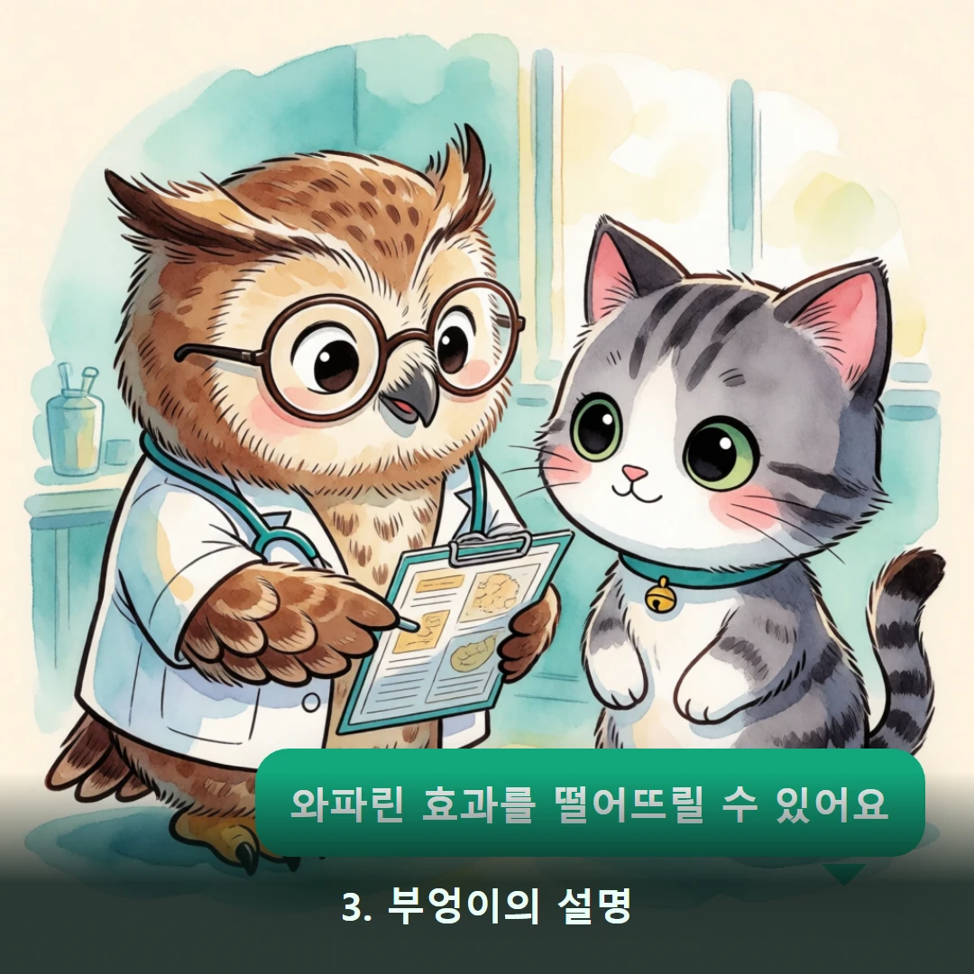 웹툰 3컷 — 3. 부엉이의 설명 (와파린 효과를 떨어뜨릴 수 있어요)