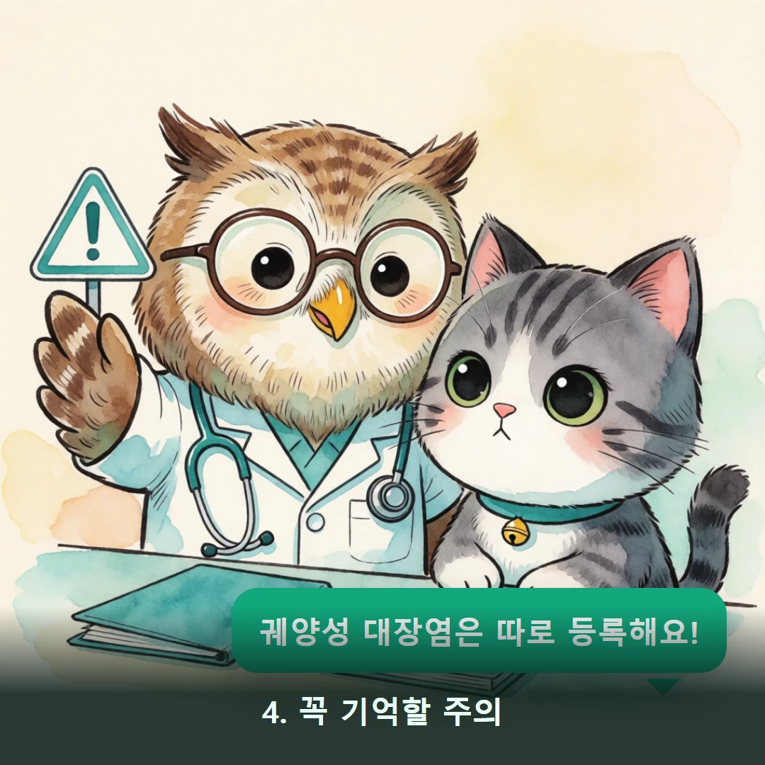 웹툰 4컷 — 4. 꼭 기억할 주의 (궤양성 대장염은 따로 등록해요!)