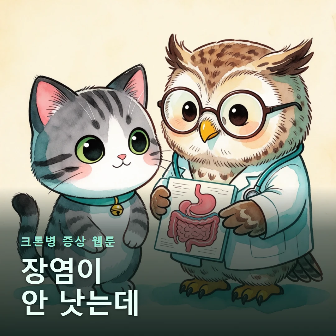 크론병 증상 웹툰 표지 — 장염이 안 낫는데