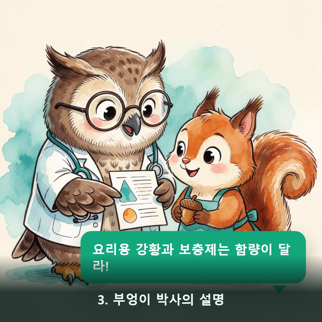 웹툰 3컷 — 3. 부엉이 박사의 설명 (요리용 강황과 보충제는 함량이 달라!)
