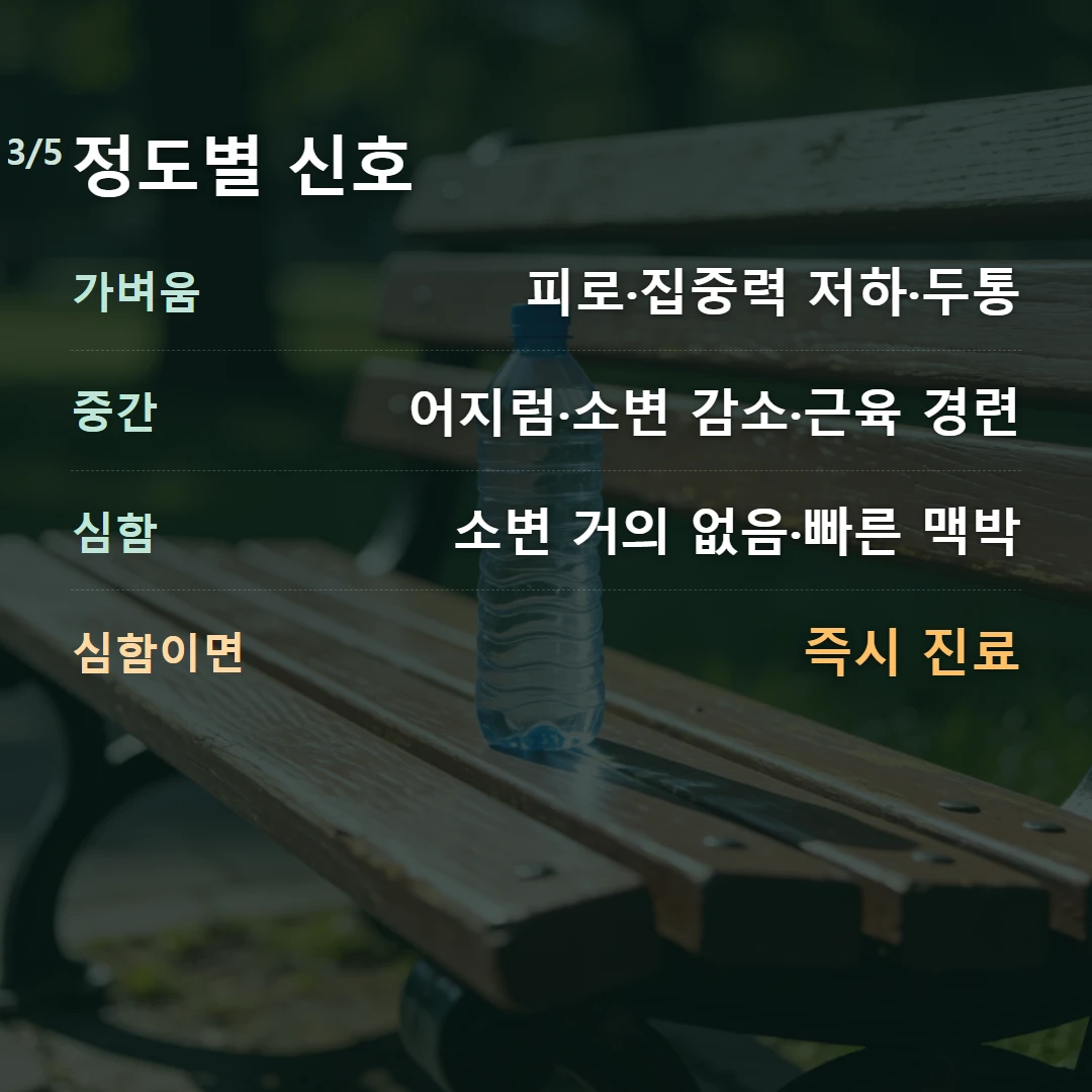 정도별 신호 — 가벼움 피로·집중력 저하·두통, 중간 어지럼·소변 감소·근육 경련, 심함 소변 거의 없음·빠른 맥박, 심함이면 즉시 진료
