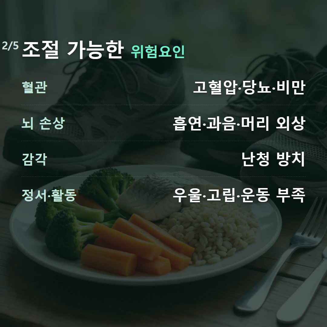 조절 가능한 위험요인 — 혈관 고혈압·당뇨·비만, 뇌 손상 흡연·과음·머리 외상, 감각 난청 방치, 정서·활동 우울·고립·운동 부족