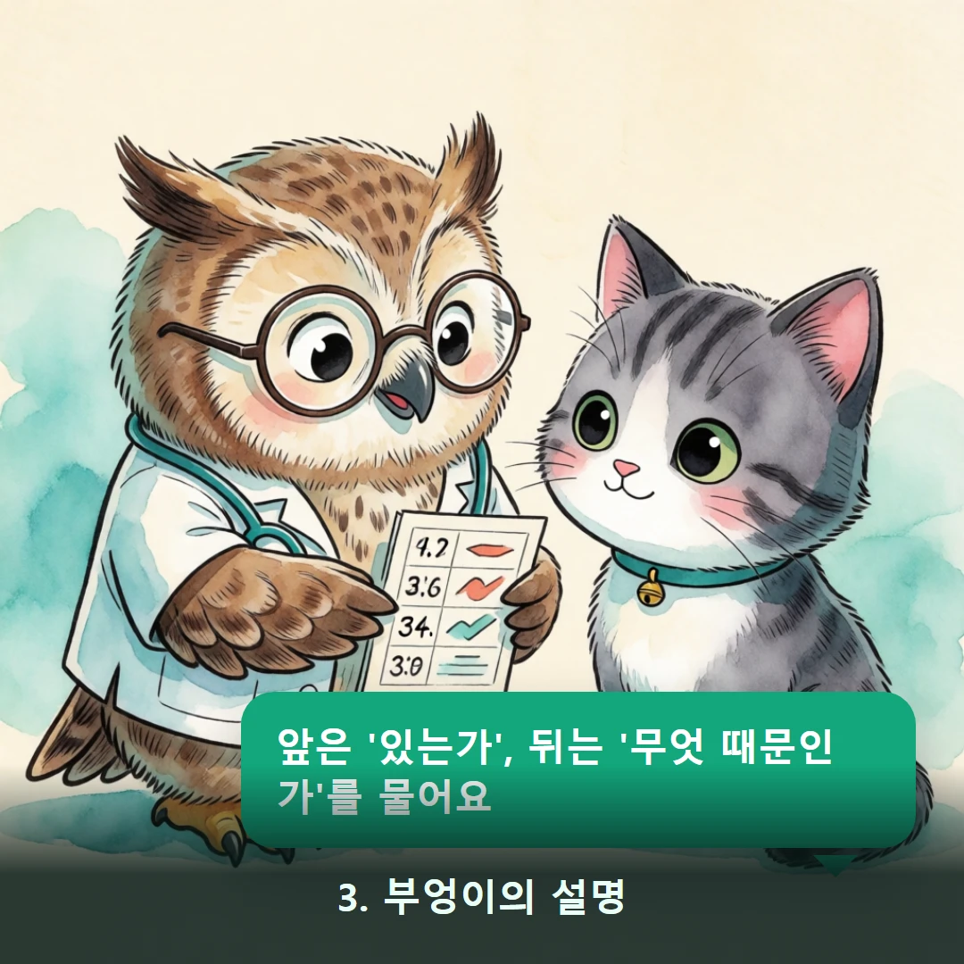 웹툰 3컷 — 3. 부엉이의 설명 (앞은 '있는가', 뒤는 '무엇 때문인가'를 물어요)