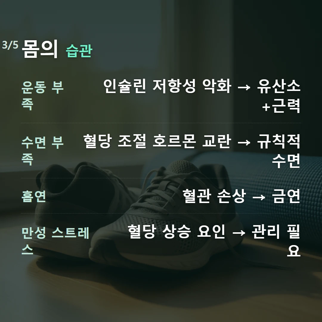 몸의 습관 — 운동 부족 인슐린 저항성 악화 → 유산소+근력, 수면 부족 혈당 조절 호르몬 교란 → 규칙적 수면, 흡연 혈관 손상 → 금연, 만성 스트레스 혈당 상승 요인 → 관리 필요
