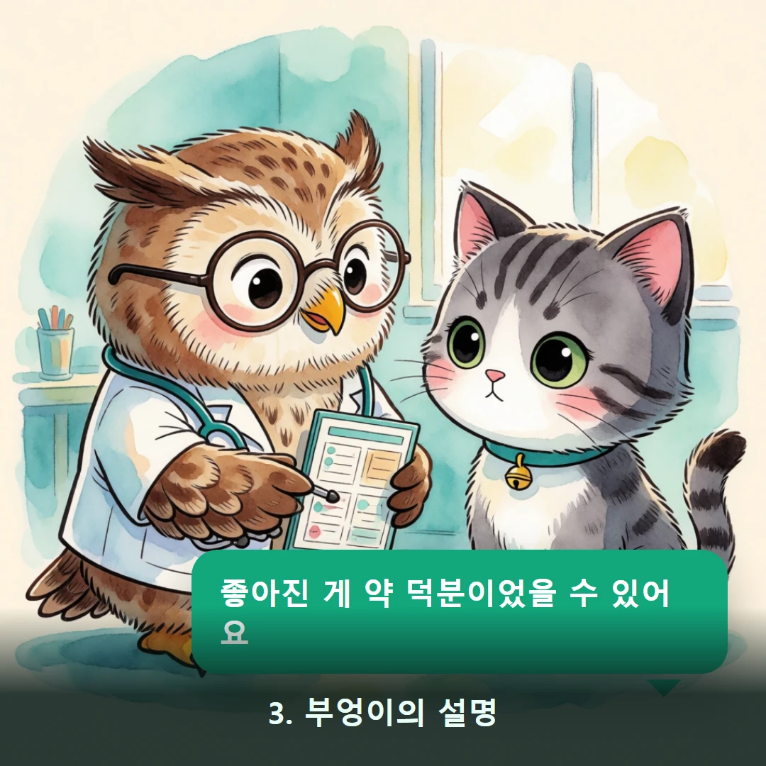 웹툰 3컷 — 3. 부엉이의 설명 (좋아진 게 약 덕분이었을 수 있어요)