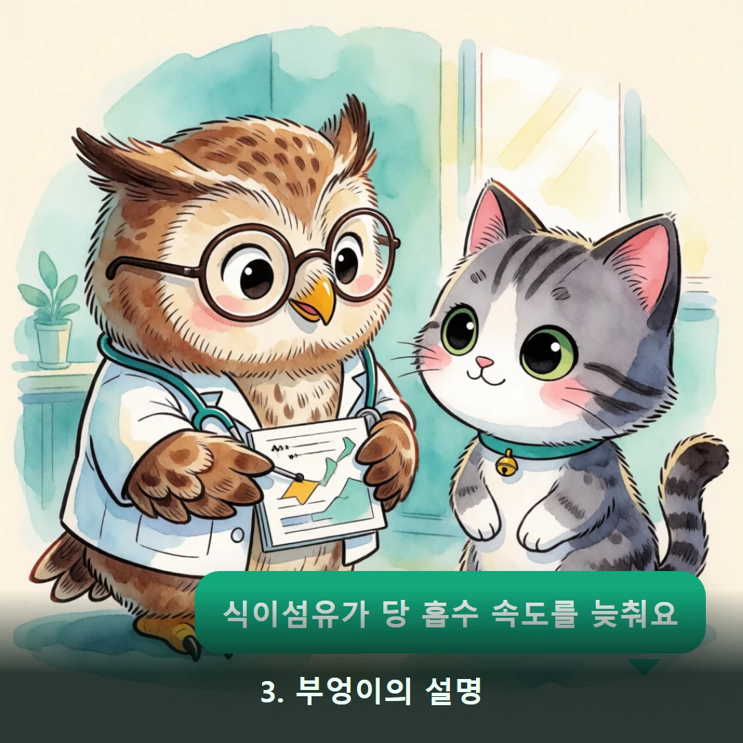 웹툰 3컷 — 3. 부엉이의 설명 (식이섬유가 당 흡수 속도를 늦춰요)