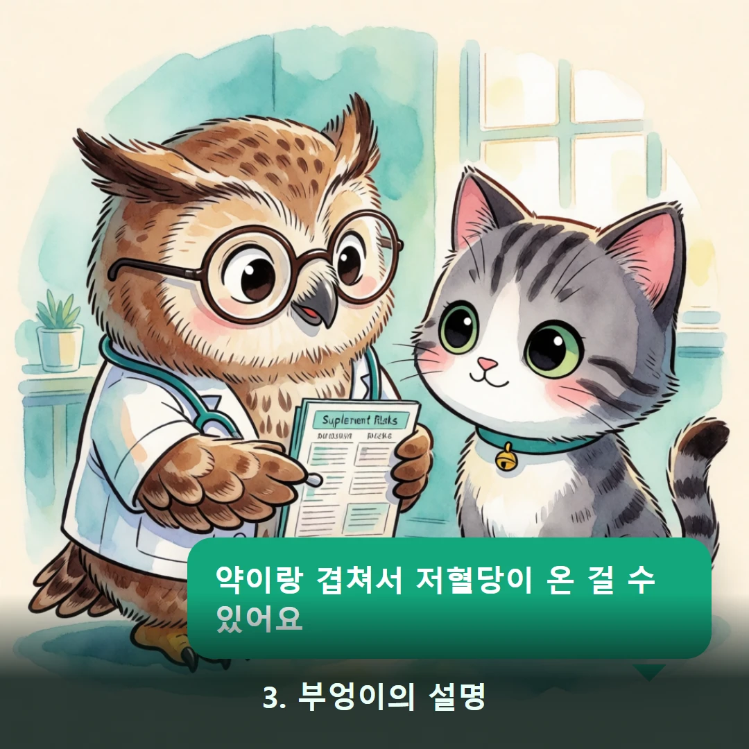 웹툰 3컷 — 3. 부엉이의 설명 (약이랑 겹쳐서 저혈당이 온 걸 수 있어요)