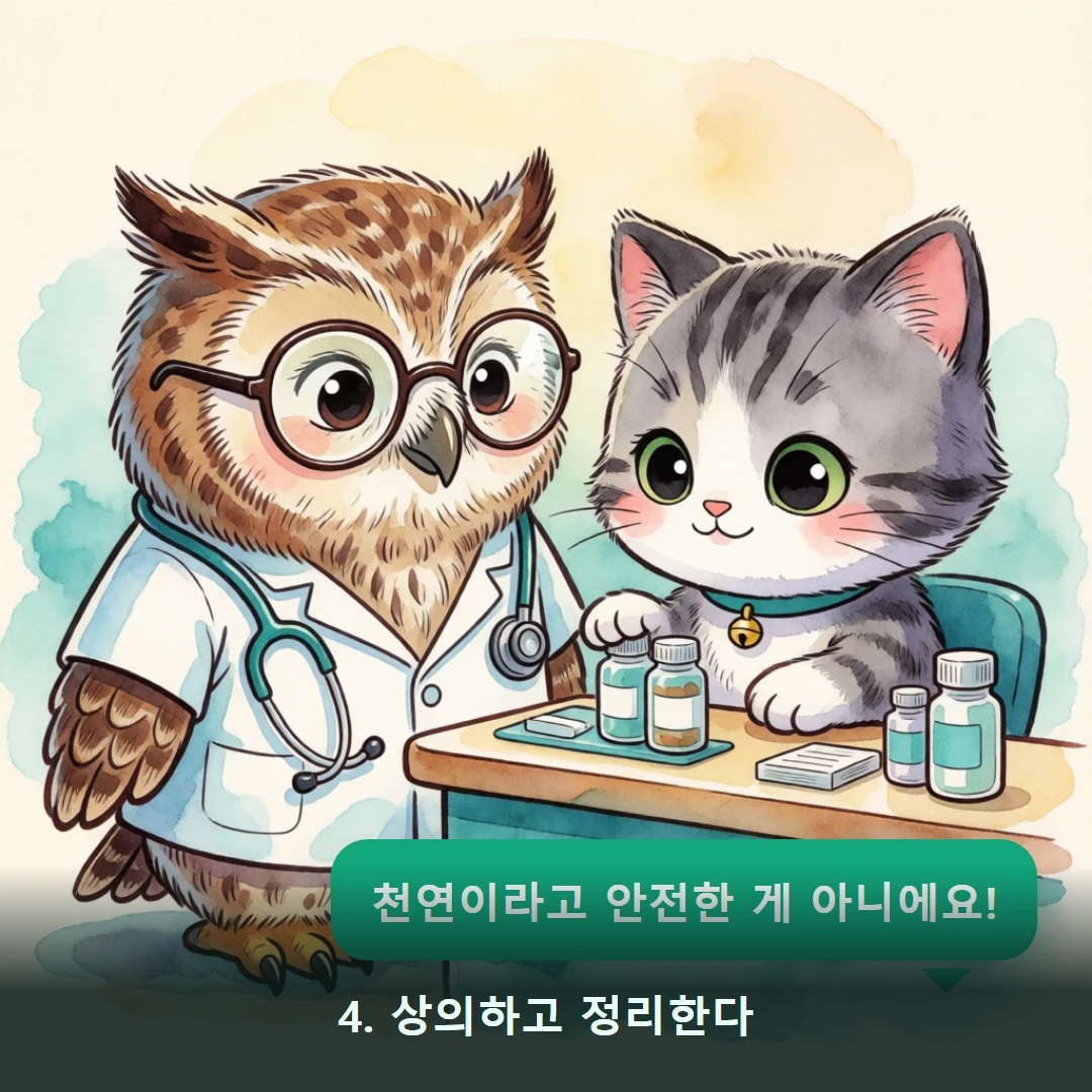 웹툰 4컷 — 4. 상의하고 정리한다 (천연이라고 안전한 게 아니에요!)