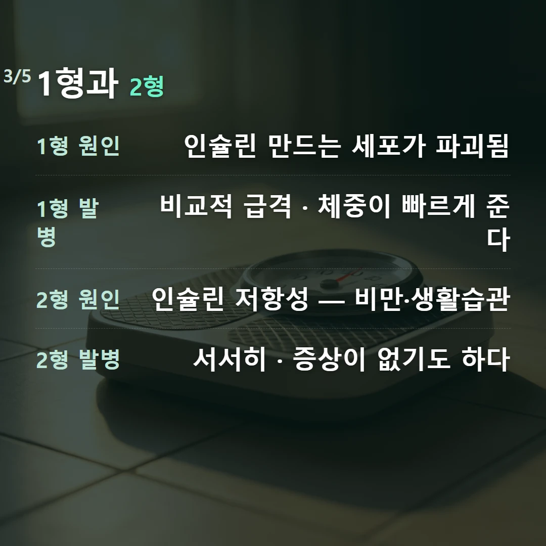 1형과 2형 — 1형 원인 인슐린 만드는 세포가 파괴됨, 1형 발병 비교적 급격 · 체중이 빠르게 준다, 2형 원인 인슐린 저항성 — 비만·생활습관, 2형 발병 서서히 · 증상이 없기도 하다