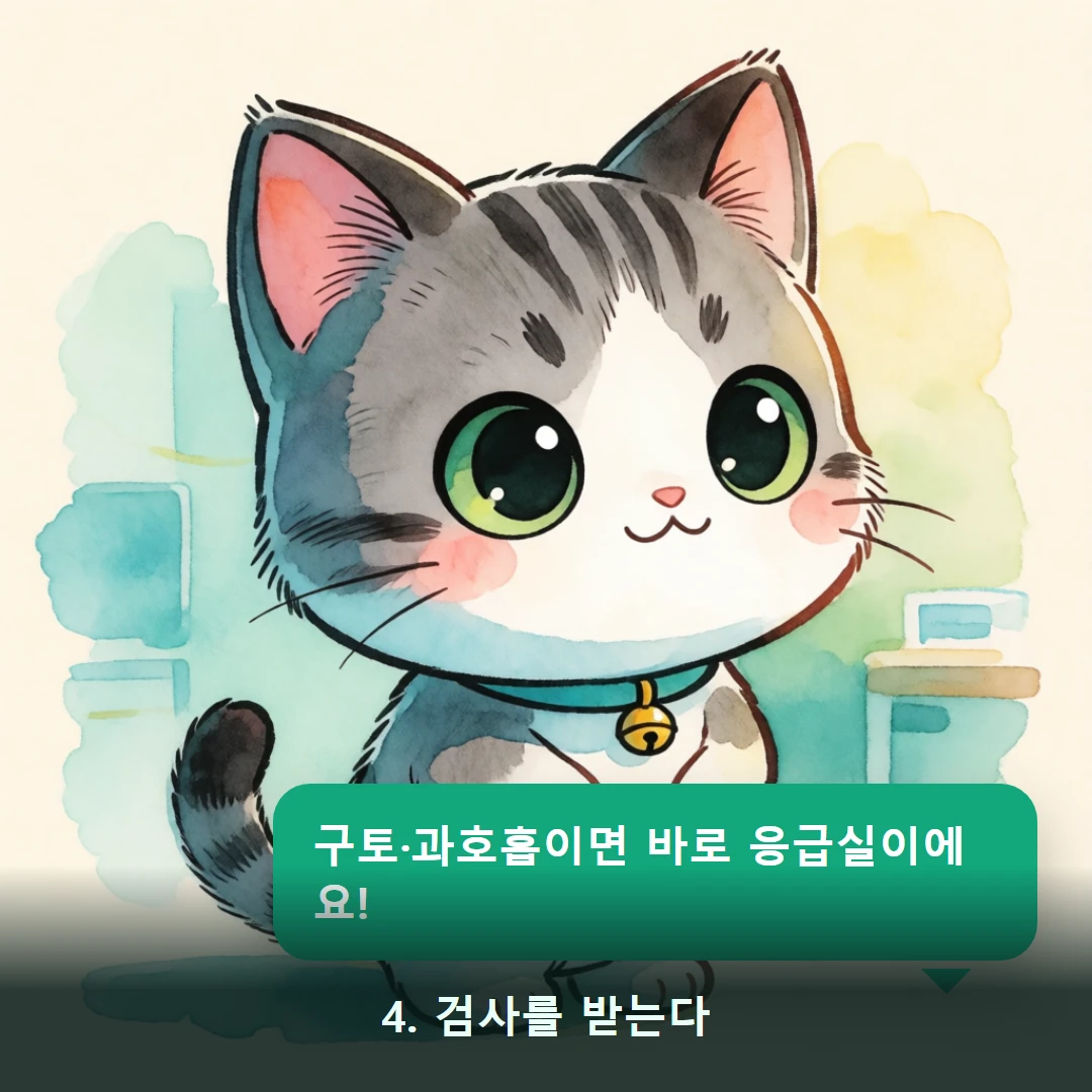 웹툰 4컷 — 4. 검사를 받는다 (구토·과호흡이면 바로 응급실이에요!)