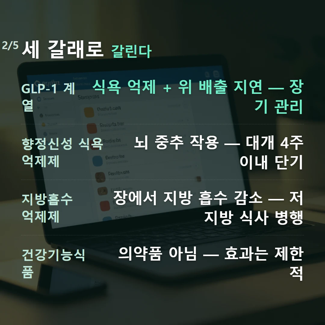 세 갈래로 갈린다 — GLP-1 계열 식욕 억제 + 위 배출 지연 — 장기 관리, 향정신성 식욕억제제 뇌 중추 작용 — 대개 4주 이내 단기, 지방흡수 억제제 장에서 지방 흡수 감소 — 저지방 식사 병행, 건강기능식품 의약품 아님 — 효과는 제한적