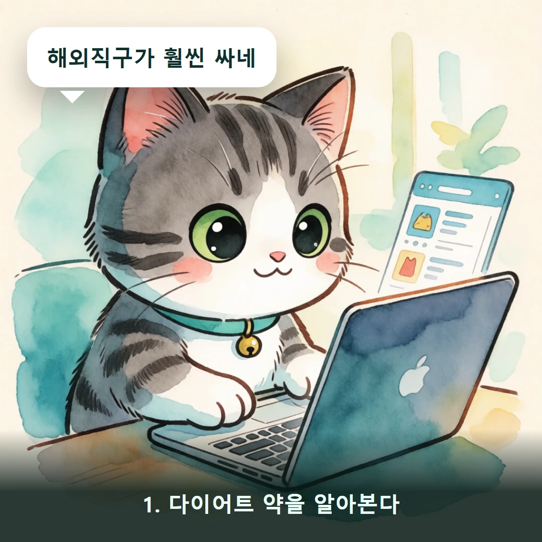 웹툰 1컷 — 1. 다이어트 약을 알아본다 (해외직구가 훨씬 싸네)