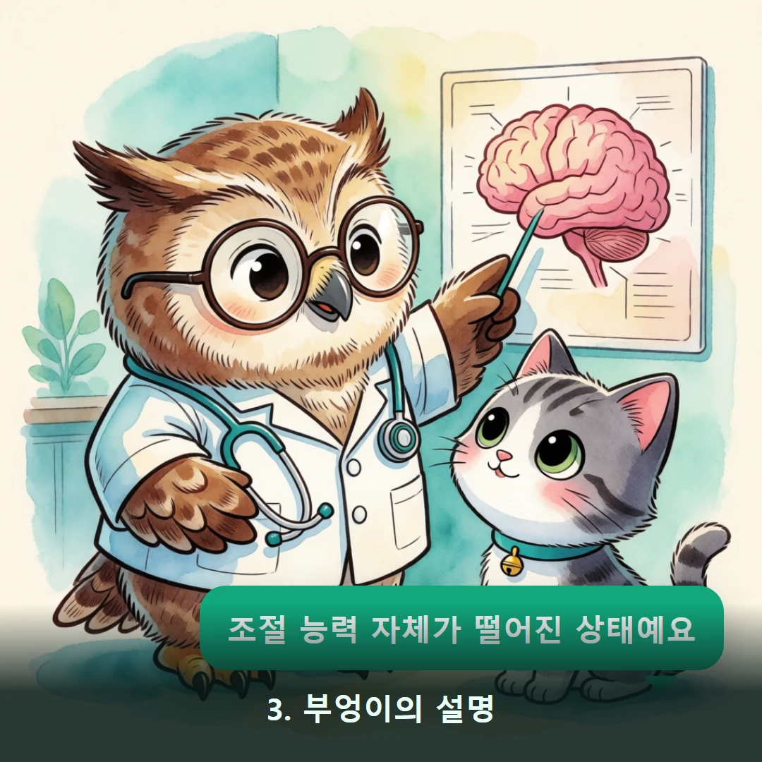 웹툰 3컷 — 3. 부엉이의 설명 (조절 능력 자체가 떨어진 상태예요)