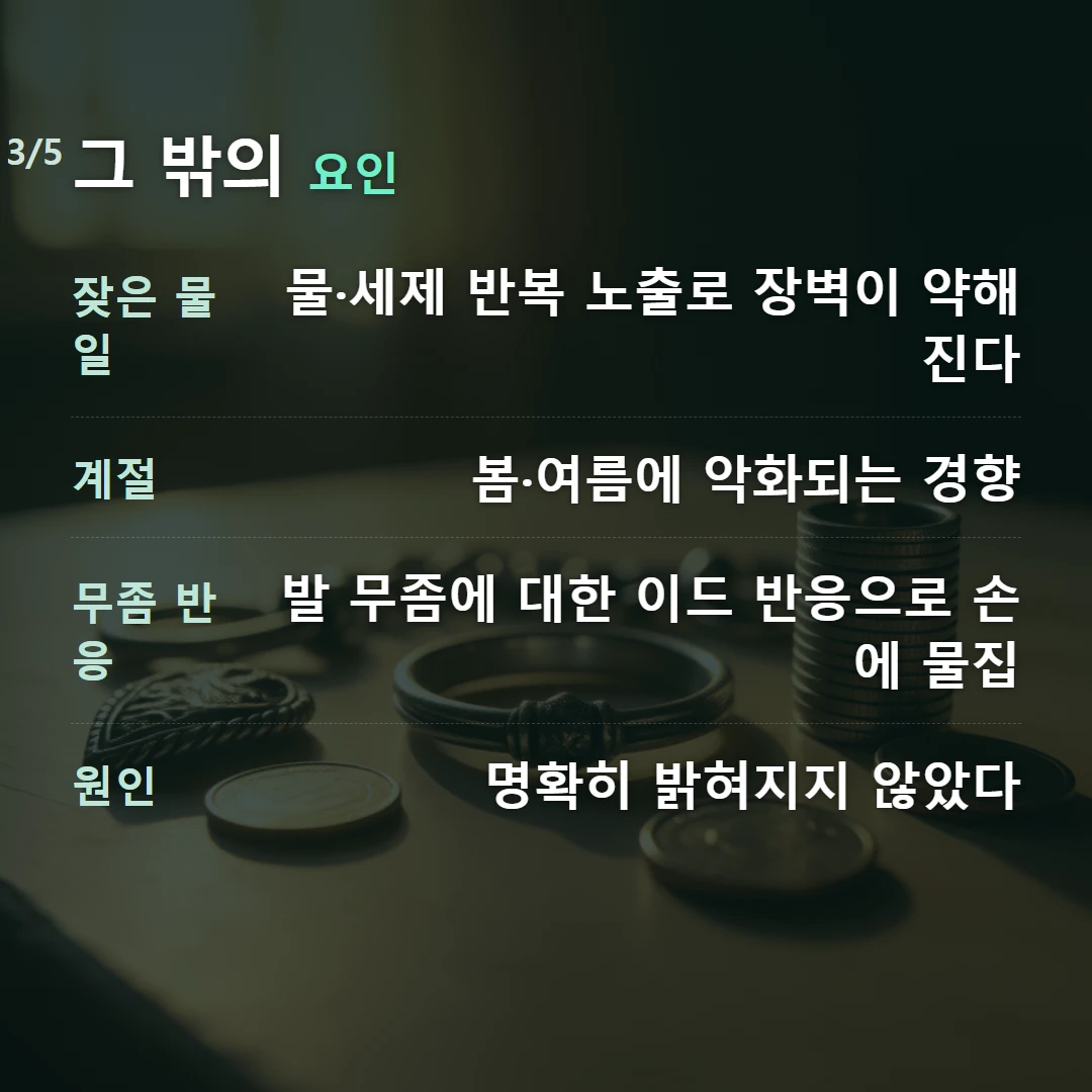 그 밖의 요인 — 잦은 물일 물·세제 반복 노출로 장벽이 약해진다, 계절 봄·여름에 악화되는 경향, 무좀 반응 발 무좀에 대한 이드 반응으로 손에 물집, 원인 명확히 밝혀지지 않았다