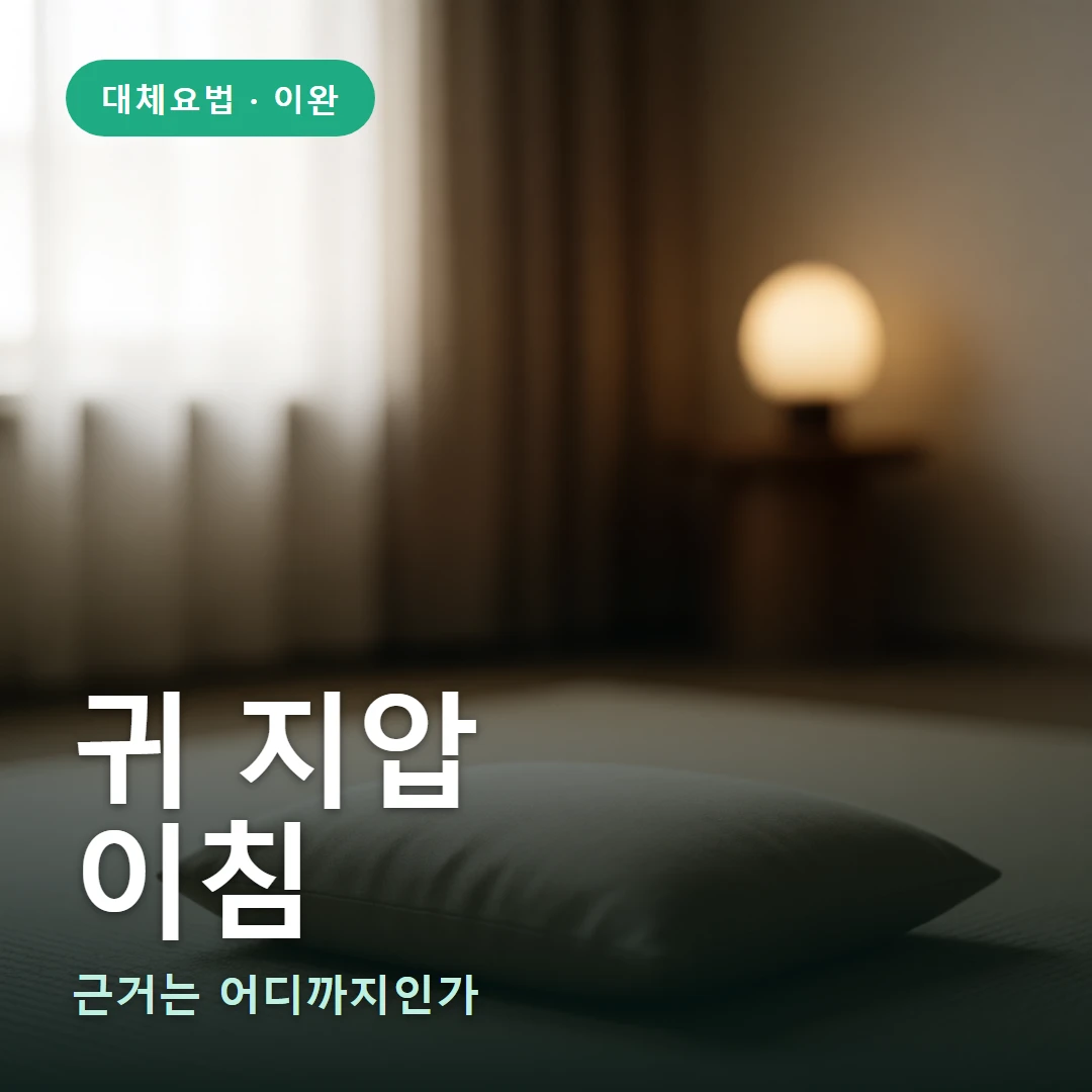 귀 지압(이침) 요약 표지 — 근거는 어디까지인가