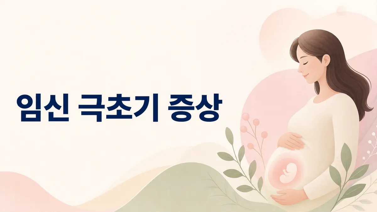 임신 극초기 증상 시기별 정리와 확인 방법