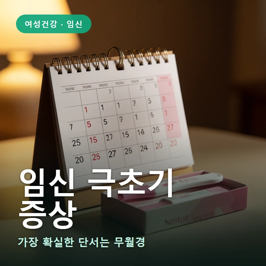 임신 극초기 증상 요약 표지 — 가장 확실한 단서는 무월경