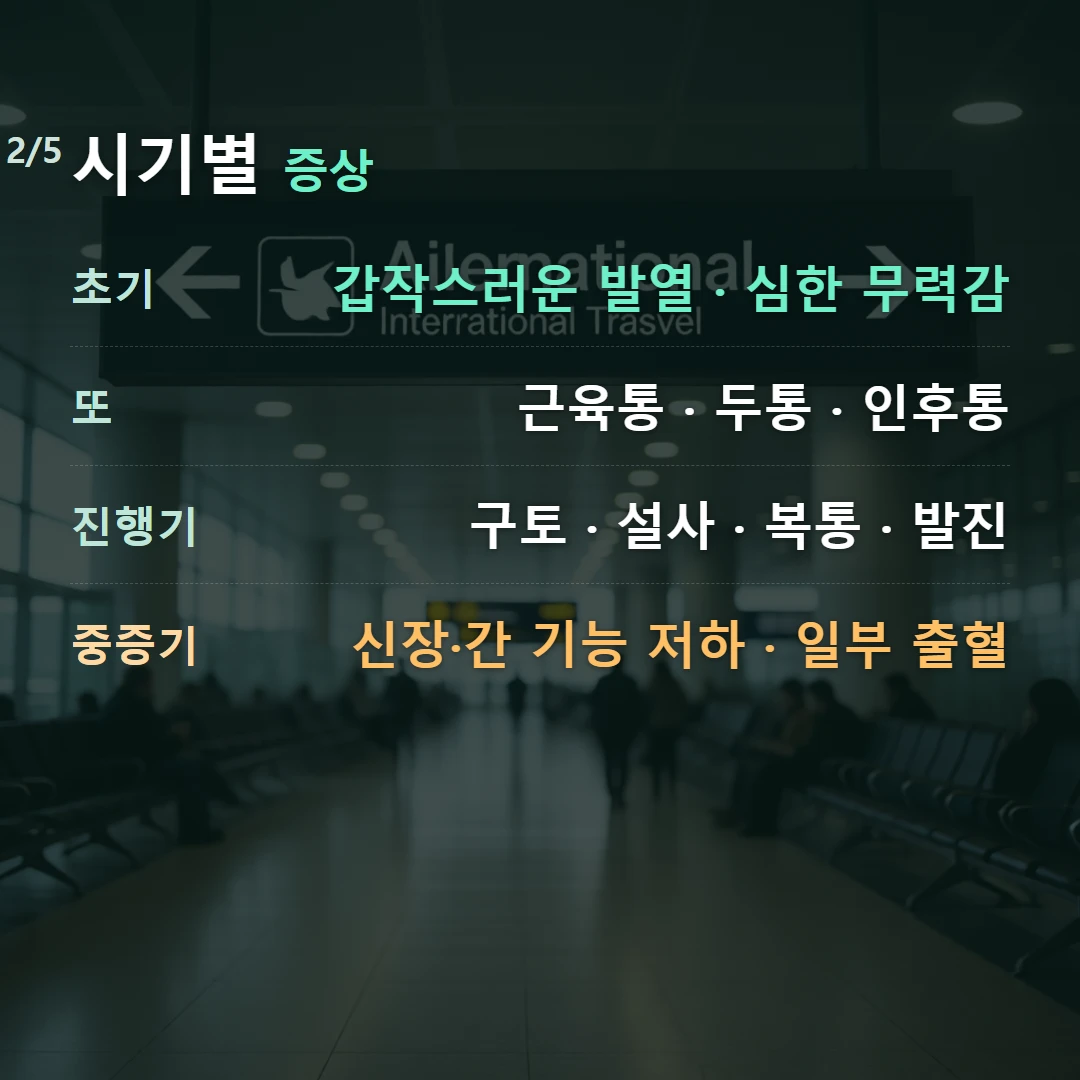 시기별 증상 — 초기 갑작스러운 발열 · 심한 무력감, 또 근육통 · 두통 · 인후통, 진행기 구토 · 설사 · 복통 · 발진, 중증기 신장·간 기능 저하 · 일부 출혈