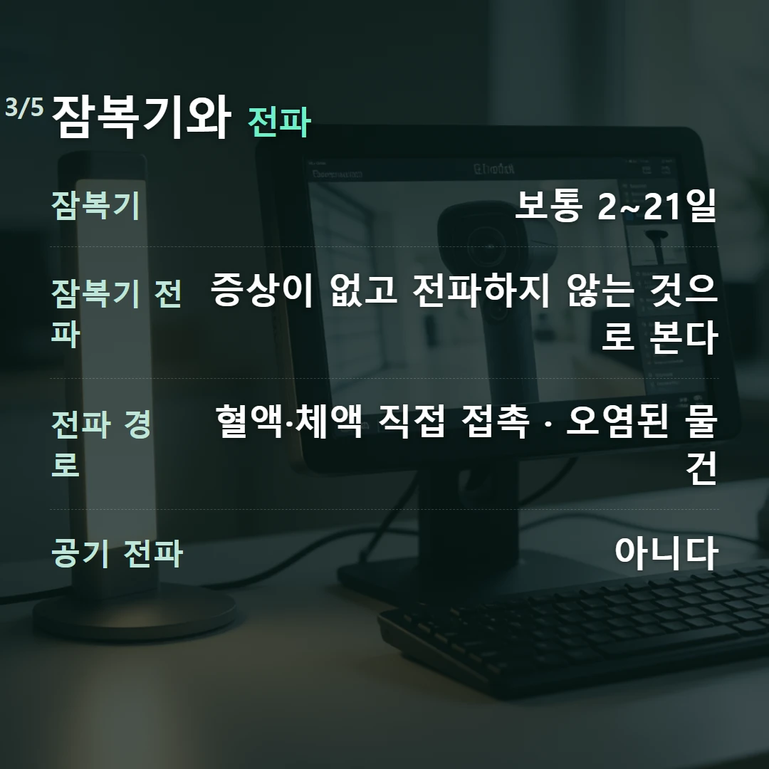 잠복기와 전파 — 잠복기 보통 2~21일, 잠복기 전파 증상이 없고 전파하지 않는 것으로 본다, 전파 경로 혈액·체액 직접 접촉 · 오염된 물건, 공기 전파 아니다