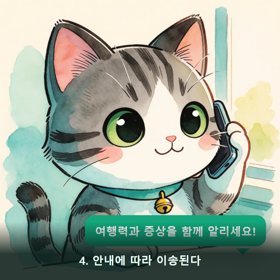 웹툰 4컷 — 4. 안내에 따라 이송된다 (여행력과 증상을 함께 알리세요!)
