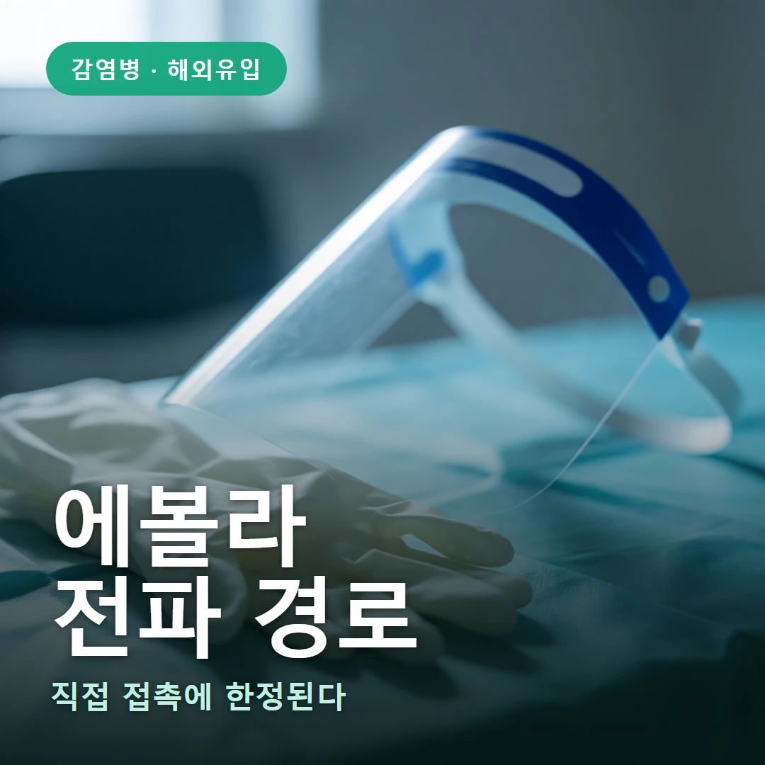 에볼라 전파 경로 요약 표지 — 직접 접촉에 한정된다