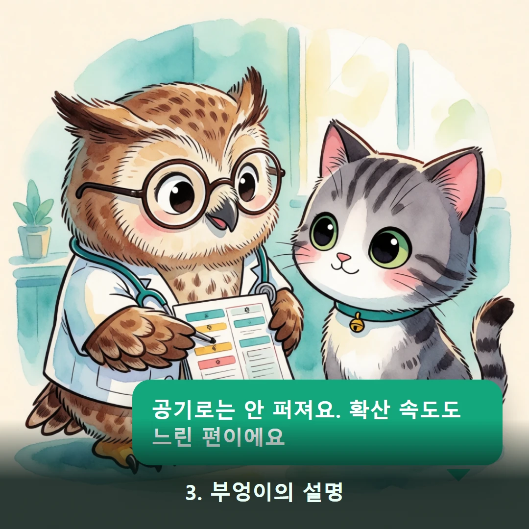 웹툰 3컷 — 3. 부엉이의 설명 (공기로는 안 퍼져요. 확산 속도도 느린 편이에요)
