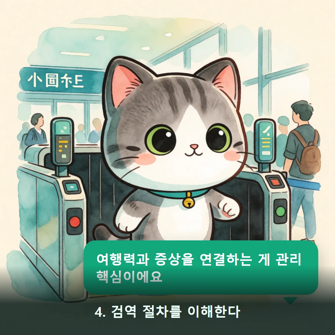 웹툰 4컷 — 4. 검역 절차를 이해한다 (여행력과 증상을 연결하는 게 관리 핵심이에요)
