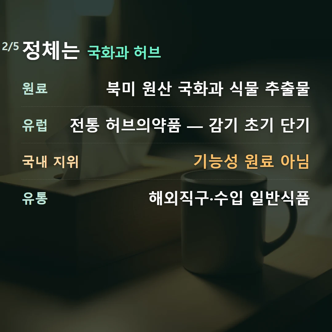 정체는 국화과 허브 — 원료 북미 원산 국화과 식물 추출물, 유럽 전통 허브의약품 — 감기 초기 단기, 국내 지위 기능성 원료 아님, 유통 해외직구·수입 일반식품
