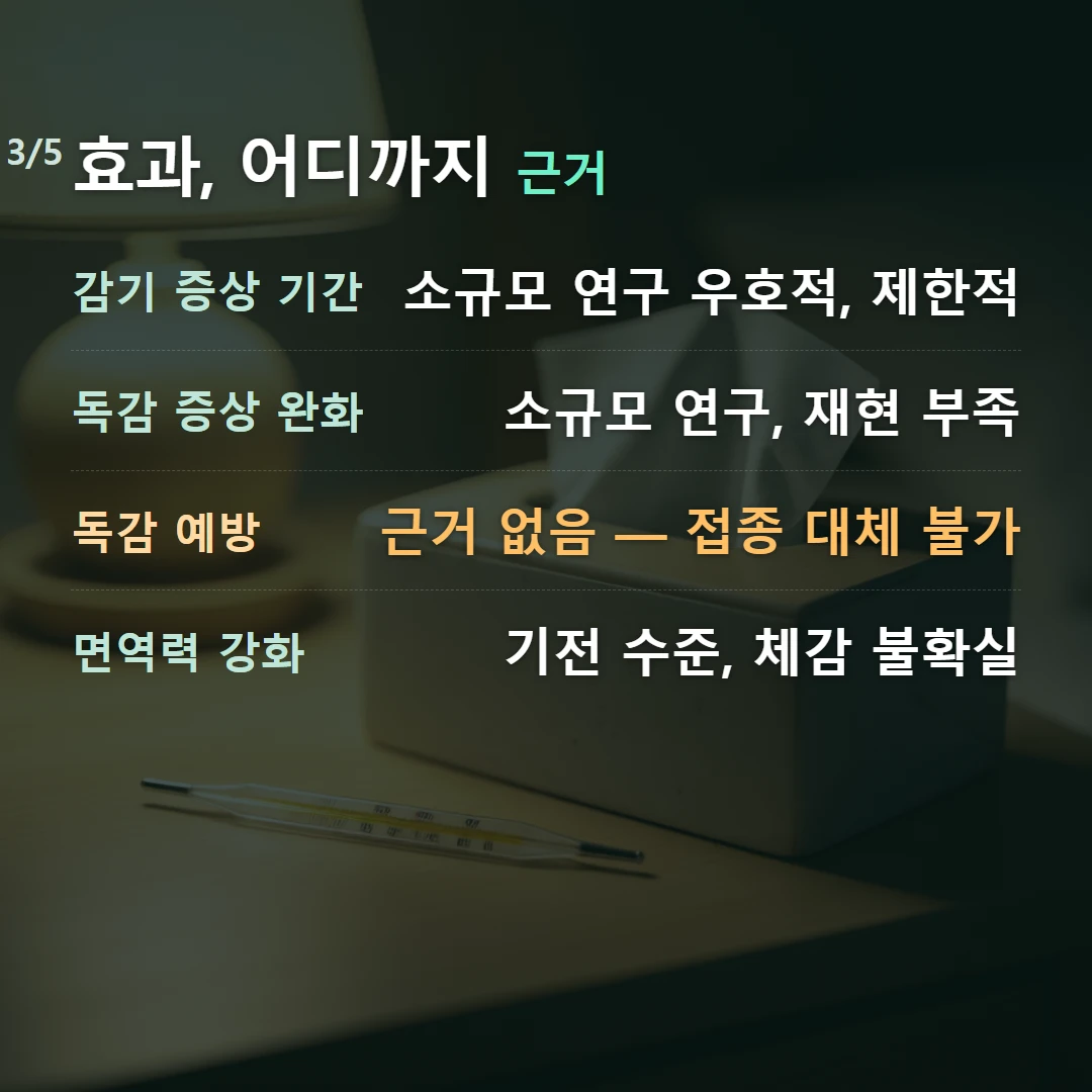 효과, 어디까지 근거 — 감기 증상 기간 소규모 연구 우호적, 제한적, 독감 증상 완화 소규모 연구, 재현 부족, 독감 예방 근거 없음 — 접종 대체 불가, 면역력 강화 기전 수준, 체감 불확실