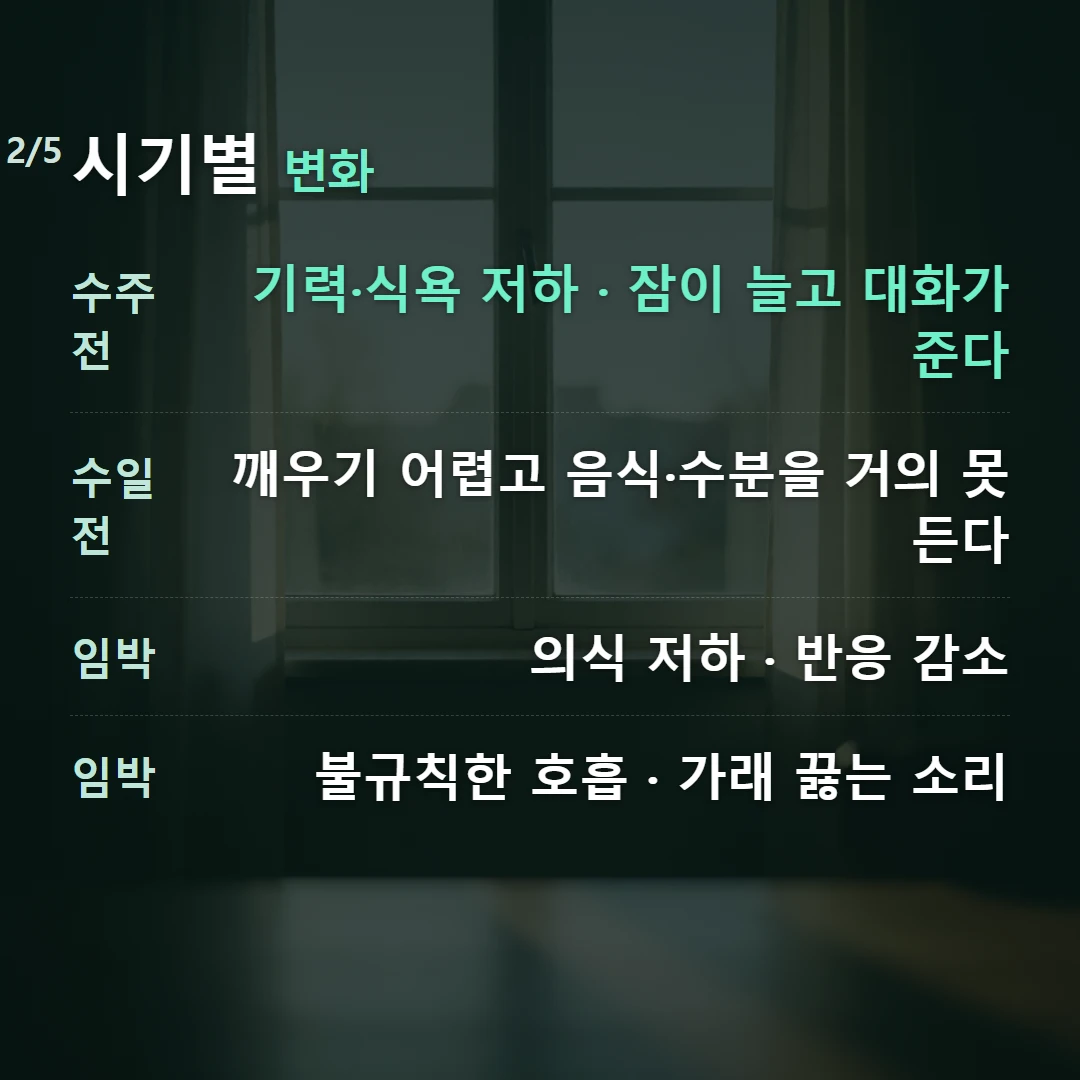 시기별 변화 — 수주 전 기력·식욕 저하 · 잠이 늘고 대화가 준다, 수일 전 깨우기 어렵고 음식·수분을 거의 못 든다, 임박 의식 저하 · 반응 감소, 임박 불규칙한 호흡 · 가래 끓는 소리