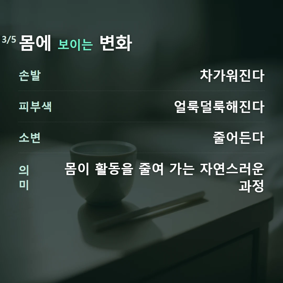몸에 보이는 변화 — 손발 차가워진다, 피부색 얼룩덜룩해진다, 소변 줄어든다, 의미 몸이 활동을 줄여 가는 자연스러운 과정