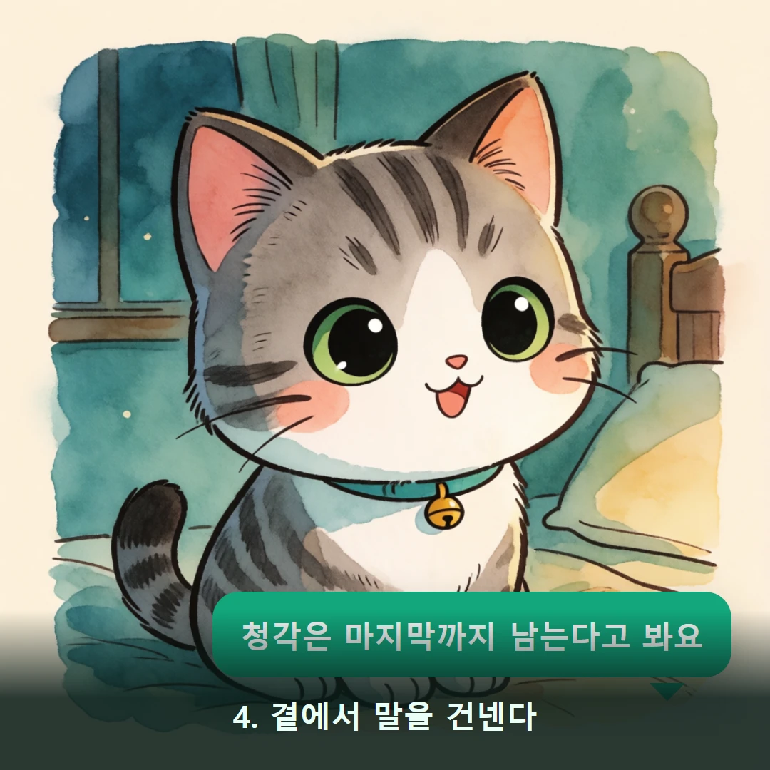 웹툰 4컷 — 4. 곁에서 말을 건넨다 (청각은 마지막까지 남는다고 봐요)