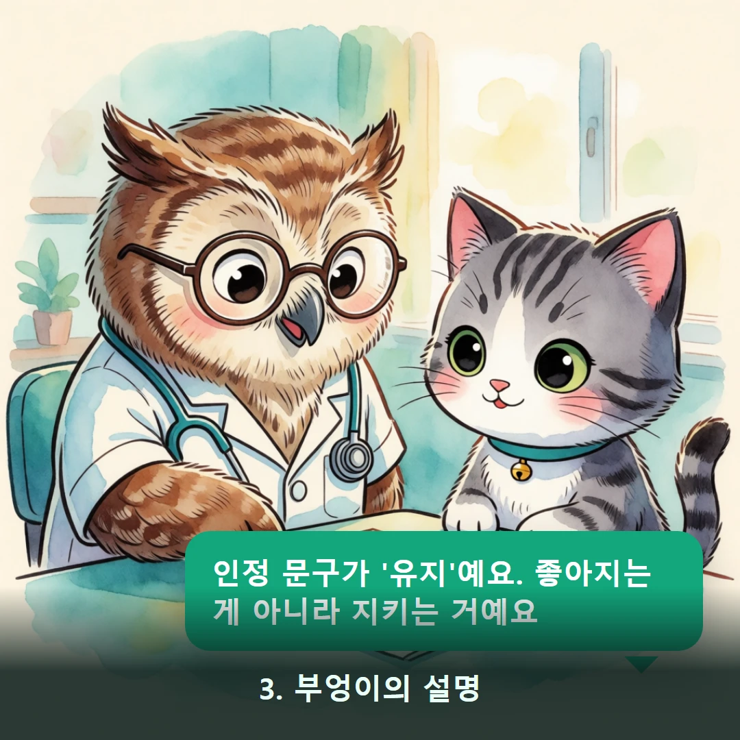 웹툰 3컷 — 3. 부엉이의 설명 (인정 문구가 '유지'예요. 좋아지는 게 아니라 지키는 거예요)