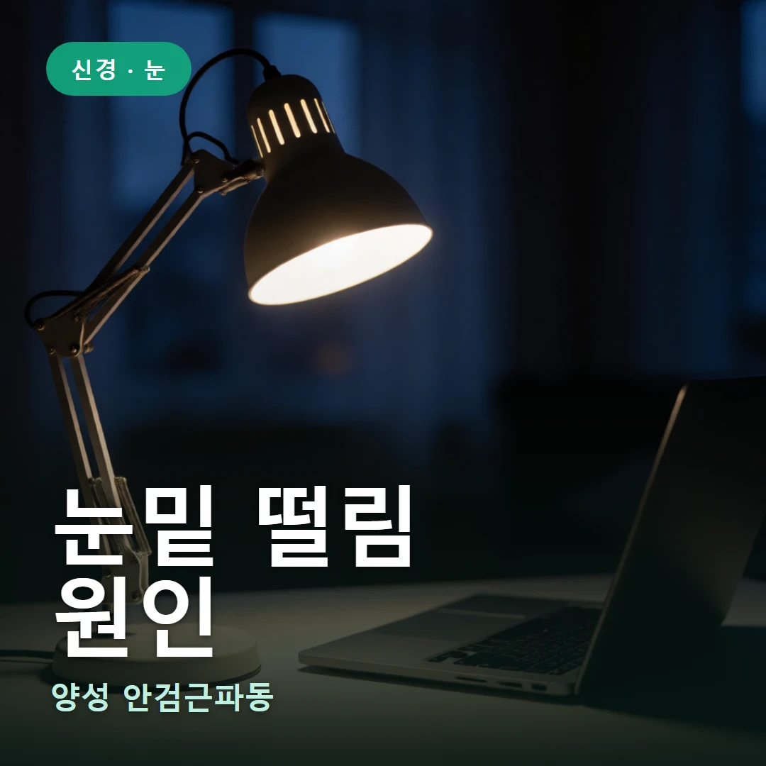 눈밑 떨림 요약 표지 — 양성 안검근파동