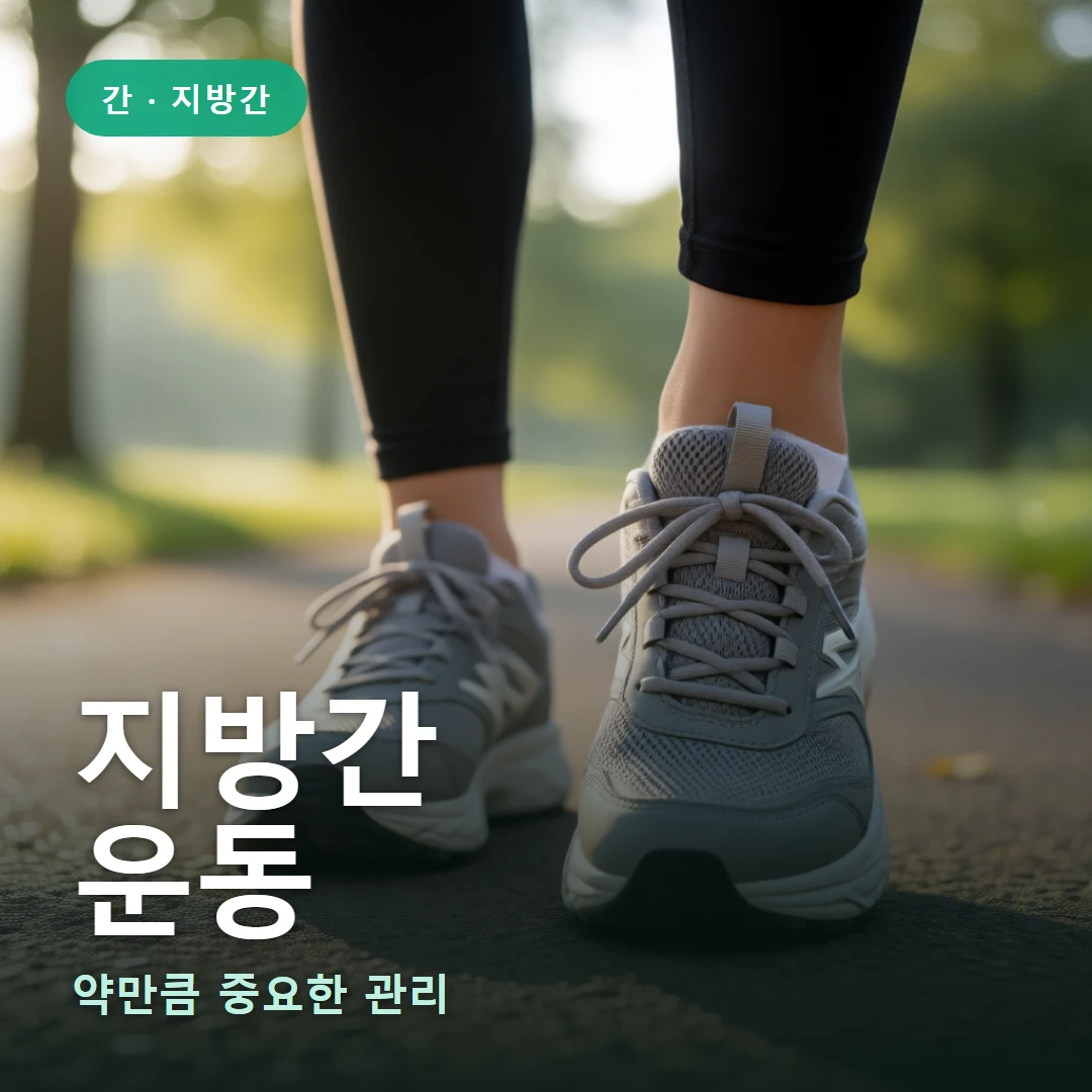 지방간 운동 요약 표지 — 약만큼 중요한 관리