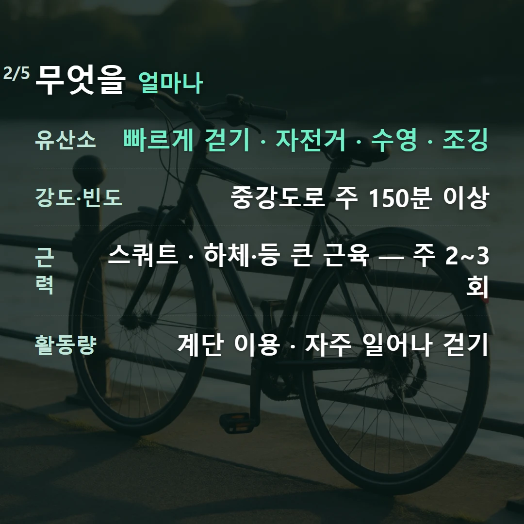 무엇을 얼마나 — 유산소 빠르게 걷기 · 자전거 · 수영 · 조깅, 강도·빈도 중강도로 주 150분 이상, 근력 스쿼트 · 하체·등 큰 근육 — 주 2~3회, 활동량 계단 이용 · 자주 일어나 걷기