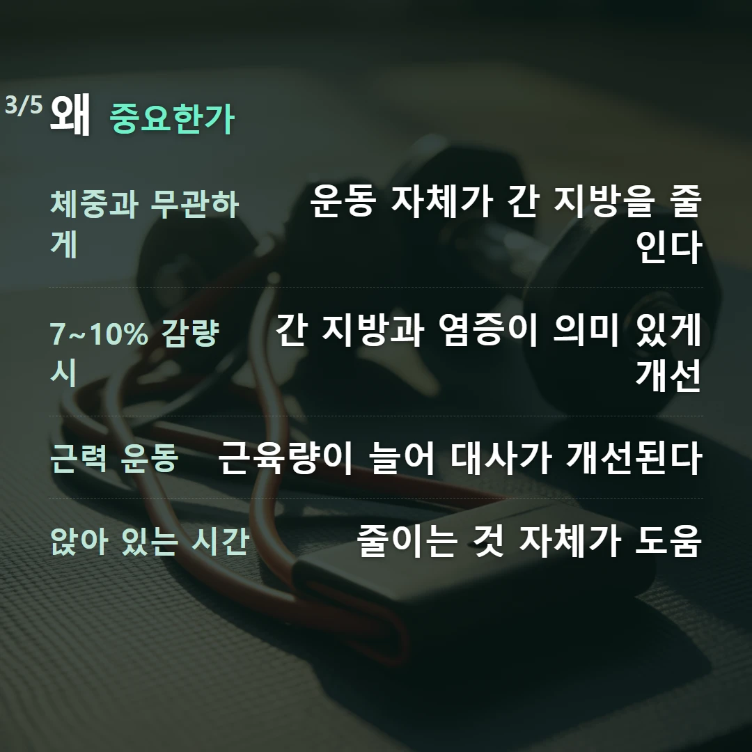 왜 중요한가 — 체중과 무관하게 운동 자체가 간 지방을 줄인다, 7~10% 감량 시 간 지방과 염증이 의미 있게 개선, 근력 운동 근육량이 늘어 대사가 개선된다, 앉아 있는 시간 줄이는 것 자체가 도움