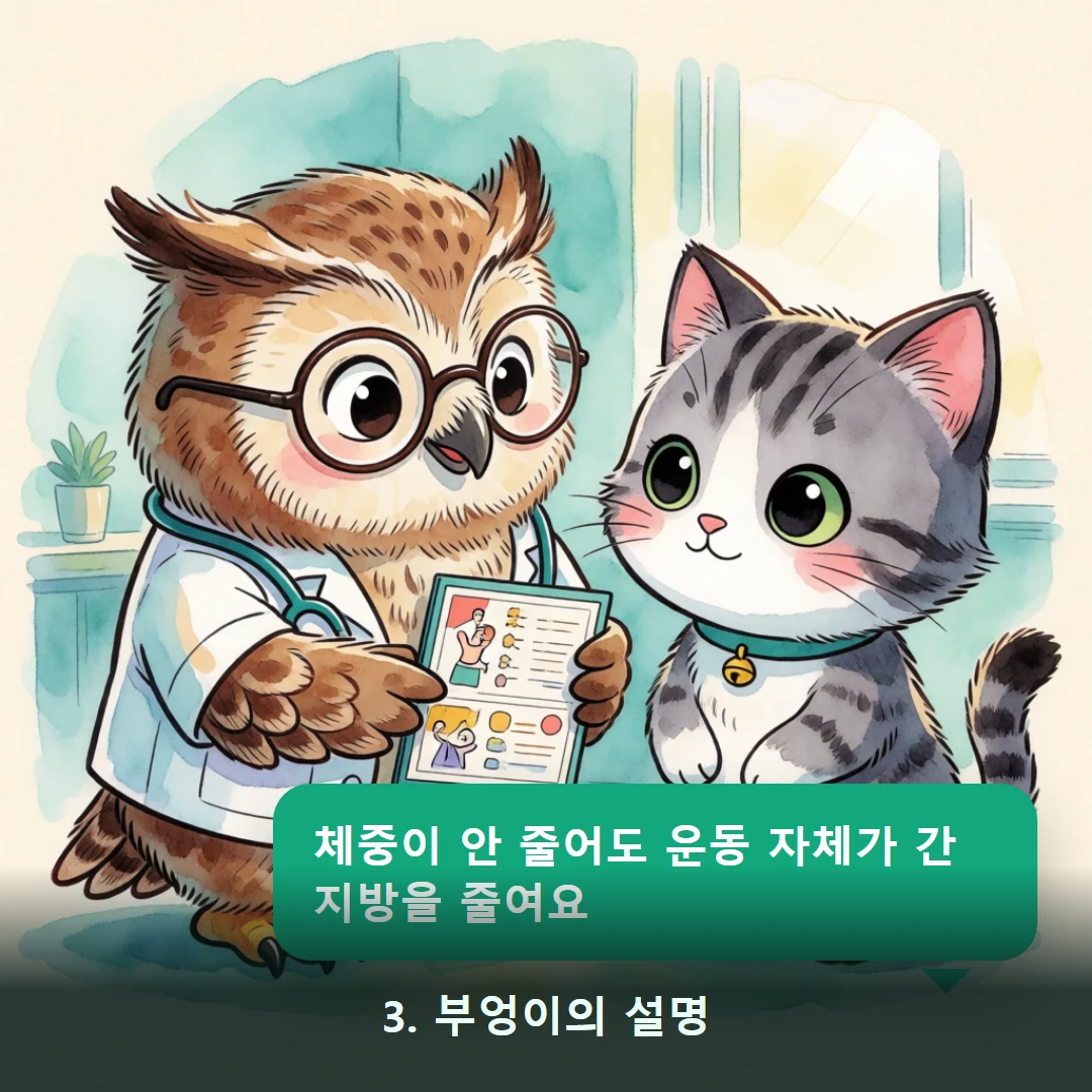웹툰 3컷 — 3. 부엉이의 설명 (체중이 안 줄어도 운동 자체가 간 지방을 줄여요)