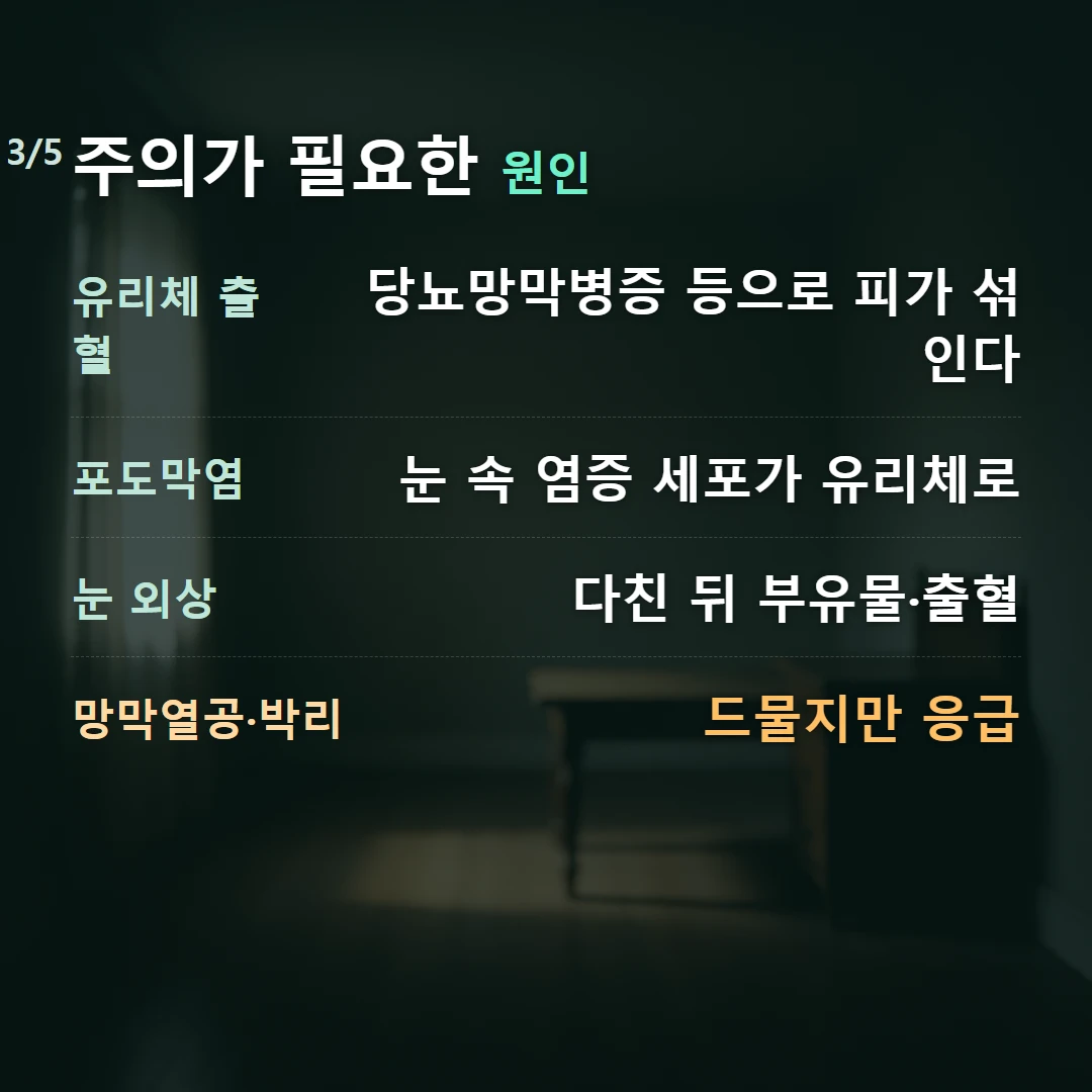 주의가 필요한 원인 — 유리체 출혈 당뇨망막병증 등으로 피가 섞인다, 포도막염 눈 속 염증 세포가 유리체로, 눈 외상 다친 뒤 부유물·출혈, 망막열공·박리 드물지만 응급