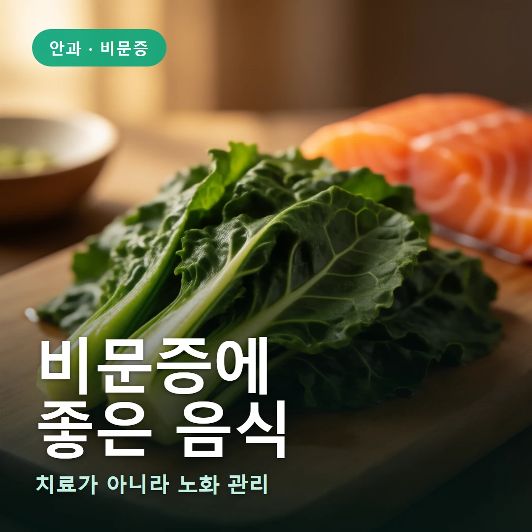 비문증과 음식 요약 표지 — 치료가 아니라 노화 관리